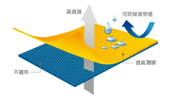 尿布背層全部貼合