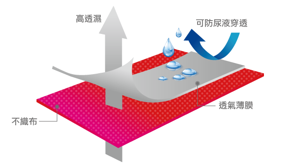 尿布背層部分貼合
