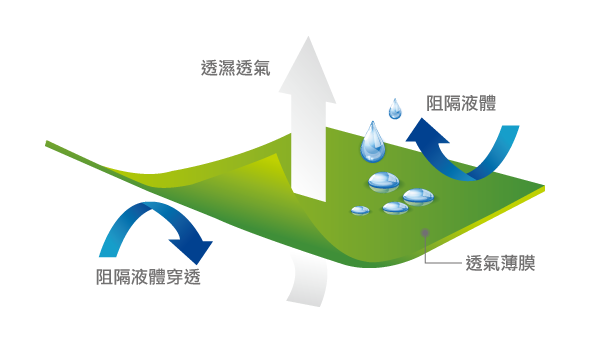 看護墊背層 Incontinent Backsheet