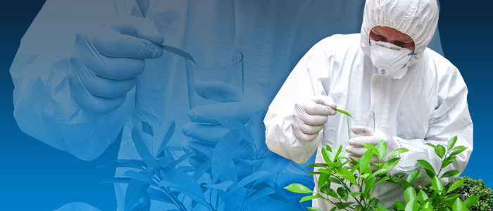 實驗衣面料-Lab Coat Fabrics