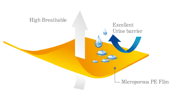 尿布背層-Diaper Backsheet
