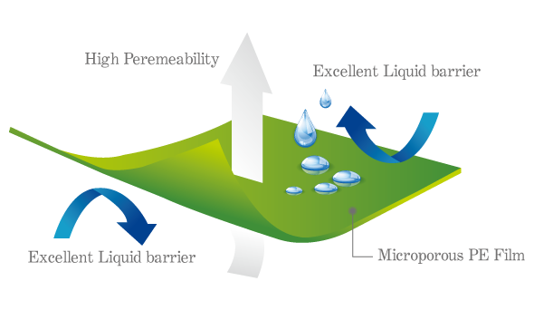 看護墊背層-Incontinent Backsheet